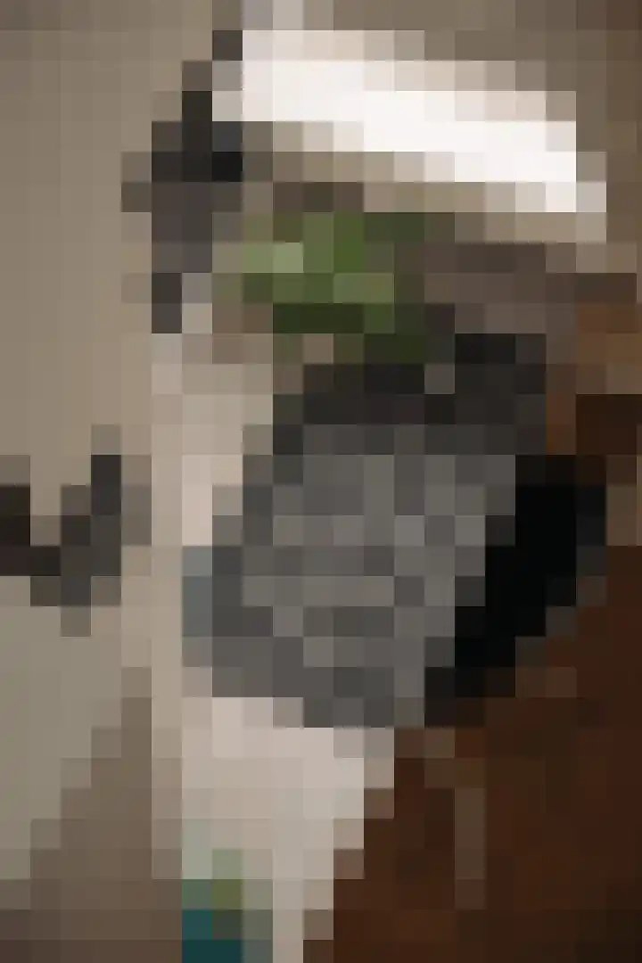 Ceintuurbaan 2 Huizen thumbnail 25