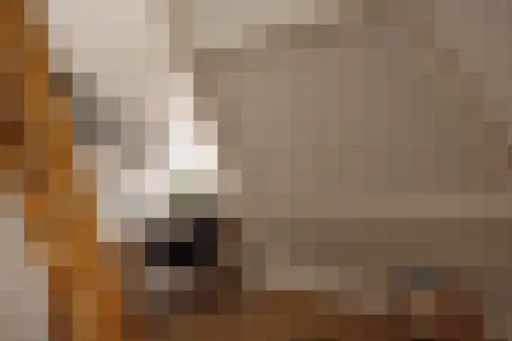 Ceintuurbaan 2 Huizen thumbnail 26