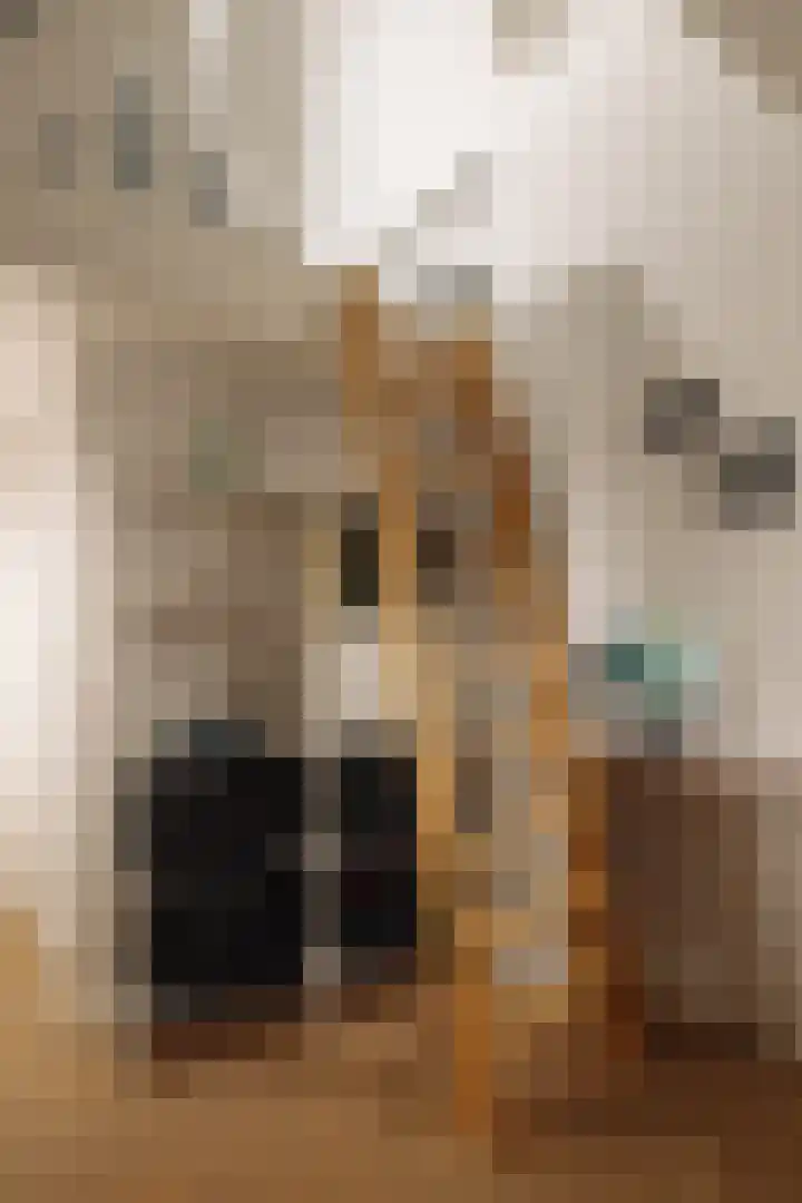 Ceintuurbaan 2 Huizen thumbnail 27