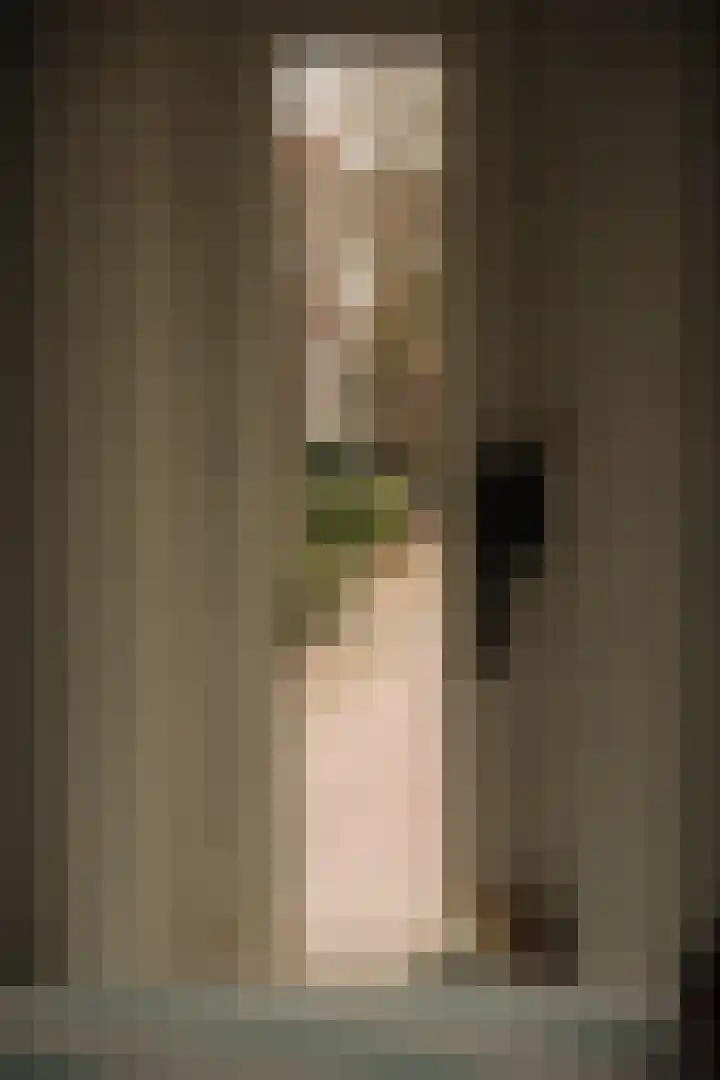 Ceintuurbaan 2 Huizen thumbnail 28