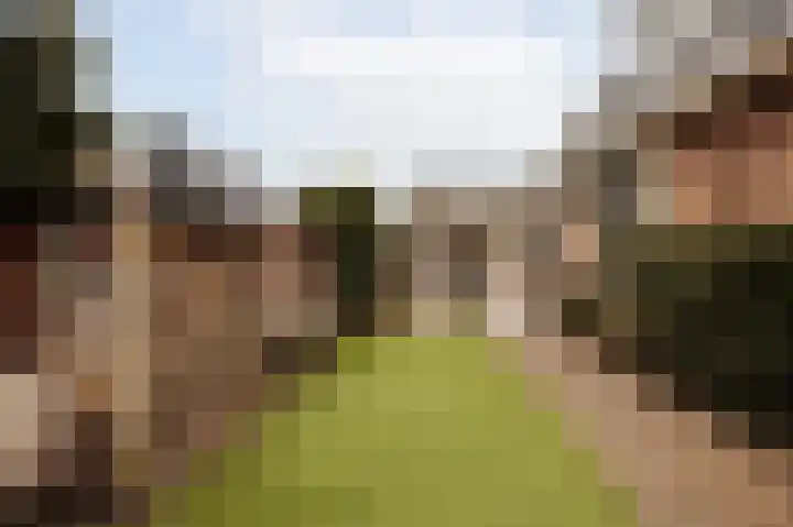 Ceintuurbaan 2 Huizen thumbnail 30