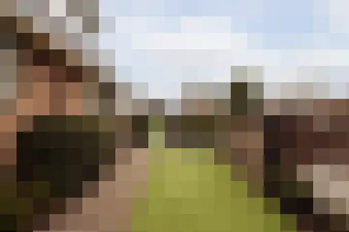 Ceintuurbaan 2 Huizen thumbnail 31