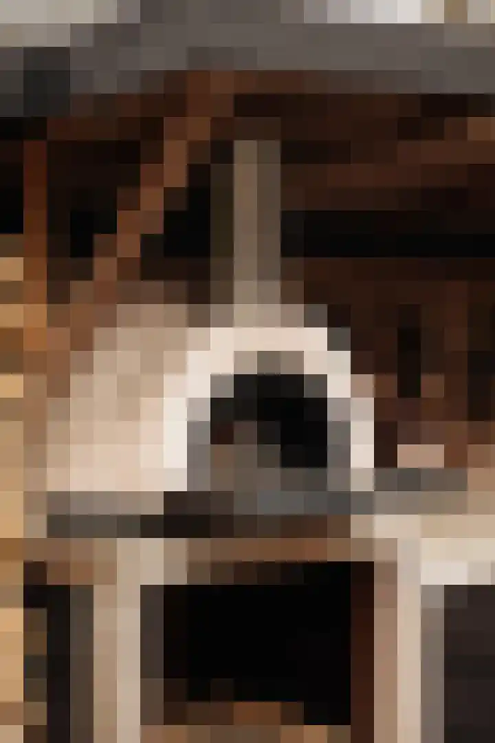 Ceintuurbaan 2 Huizen thumbnail 32
