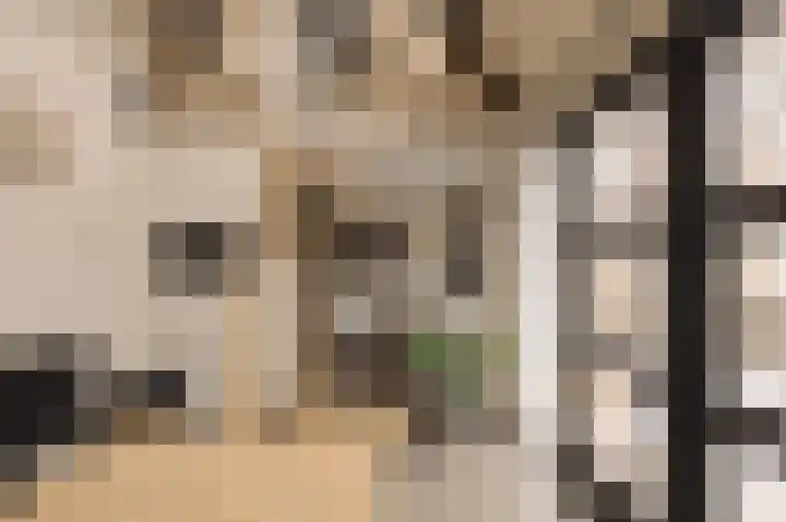 Ceintuurbaan 2 Huizen thumbnail 34