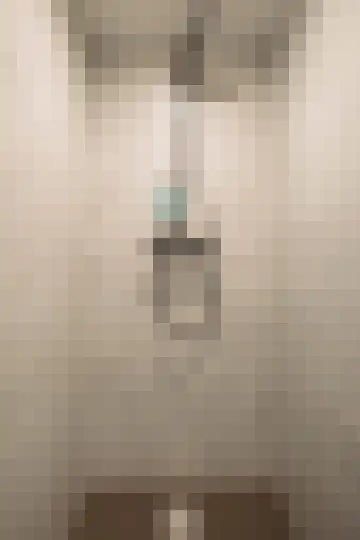 Ceintuurbaan 2 Huizen thumbnail 35