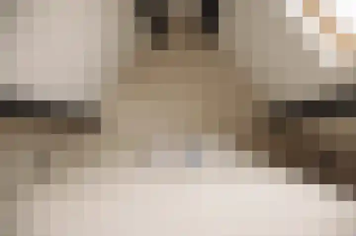 Ceintuurbaan 2 Huizen thumbnail 37