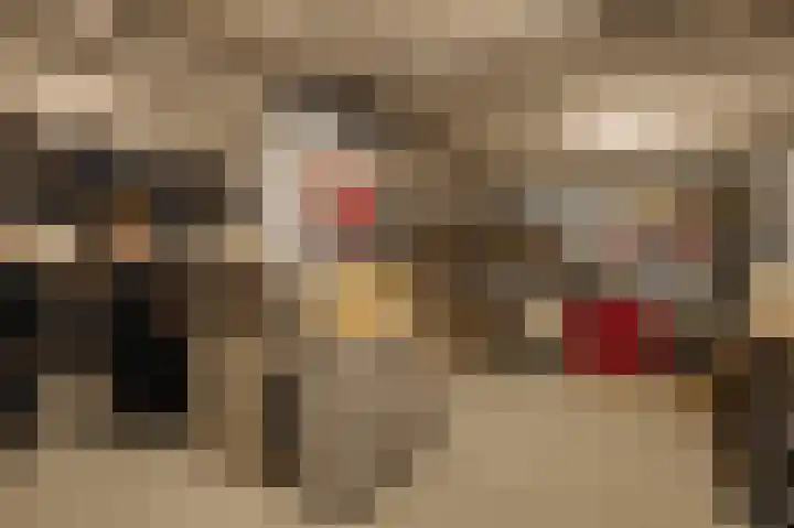 Ceintuurbaan 2 Huizen thumbnail 38
