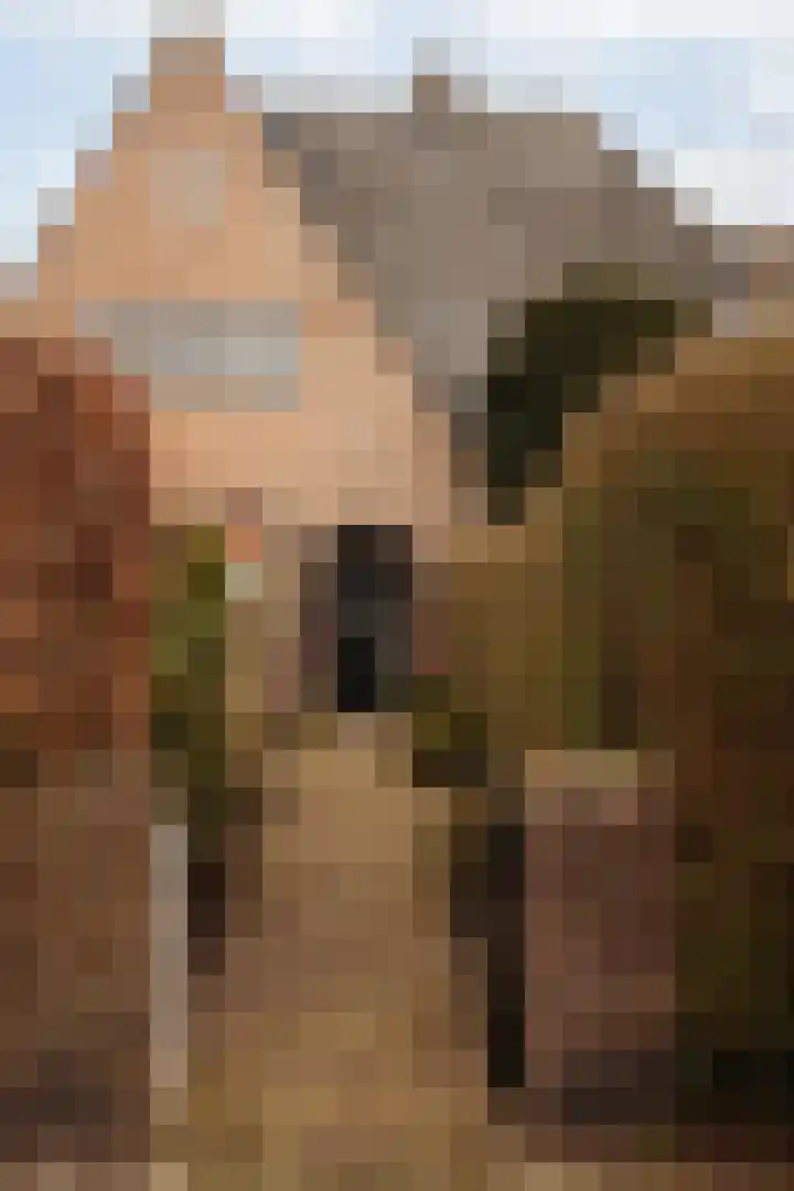 Ceintuurbaan 2 Huizen thumbnail 39