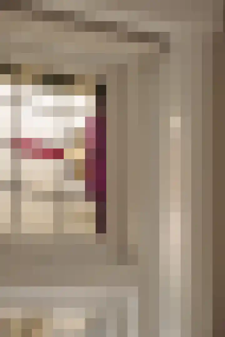Ceintuurbaan 2 Huizen thumbnail 4