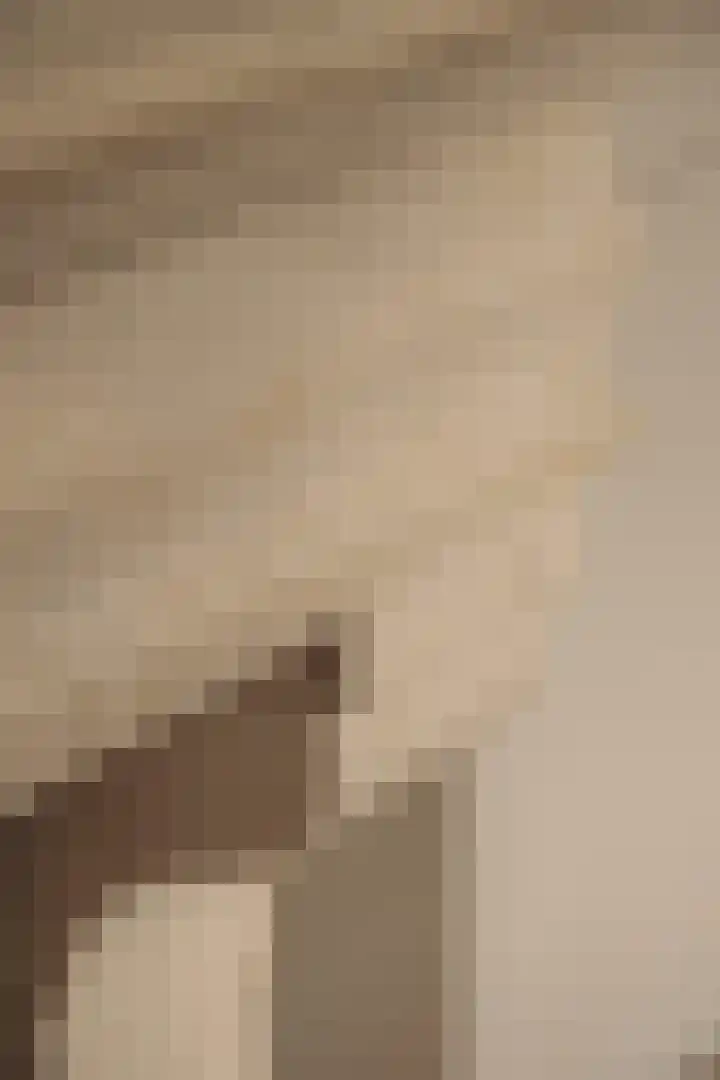 Ceintuurbaan 2 Huizen thumbnail 7