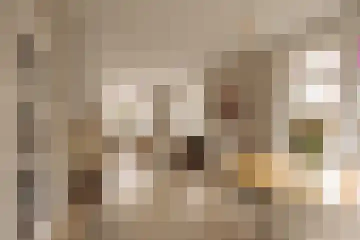 Ceintuurbaan 2 Huizen thumbnail 8