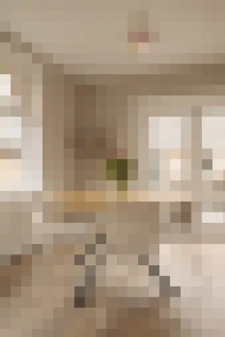 Ceintuurbaan 2 Huizen thumbnail 9
