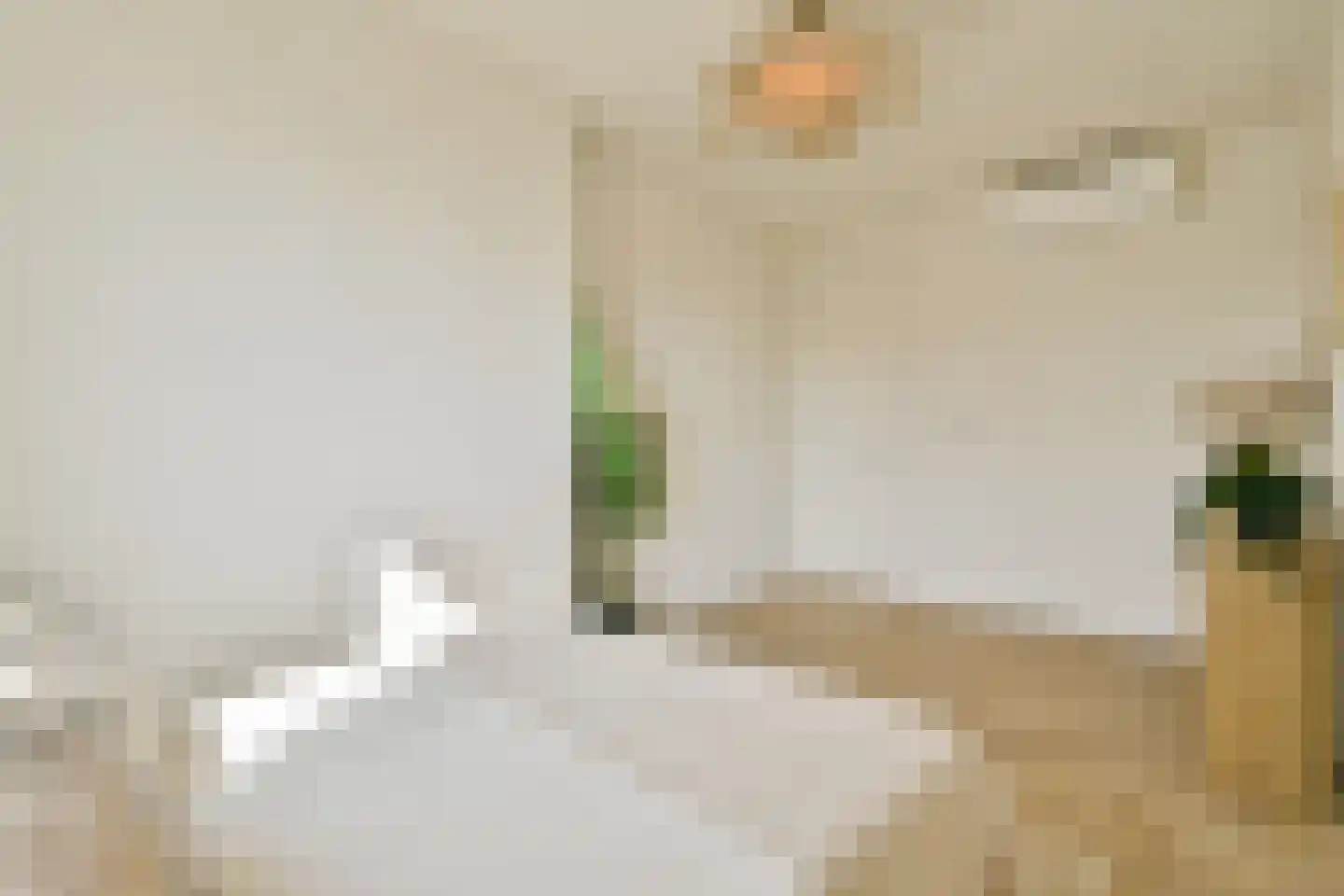 Ceintuurbaan 204 2 Amsterdam thumbnail 13