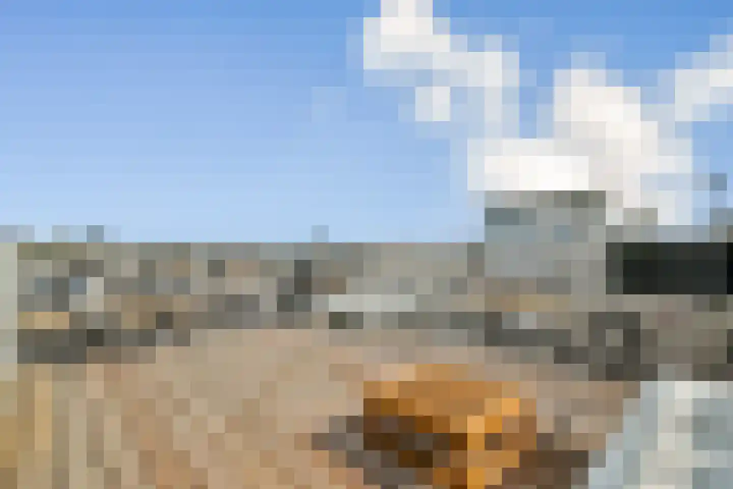 Ceintuurbaan 204 2 Amsterdam thumbnail 23