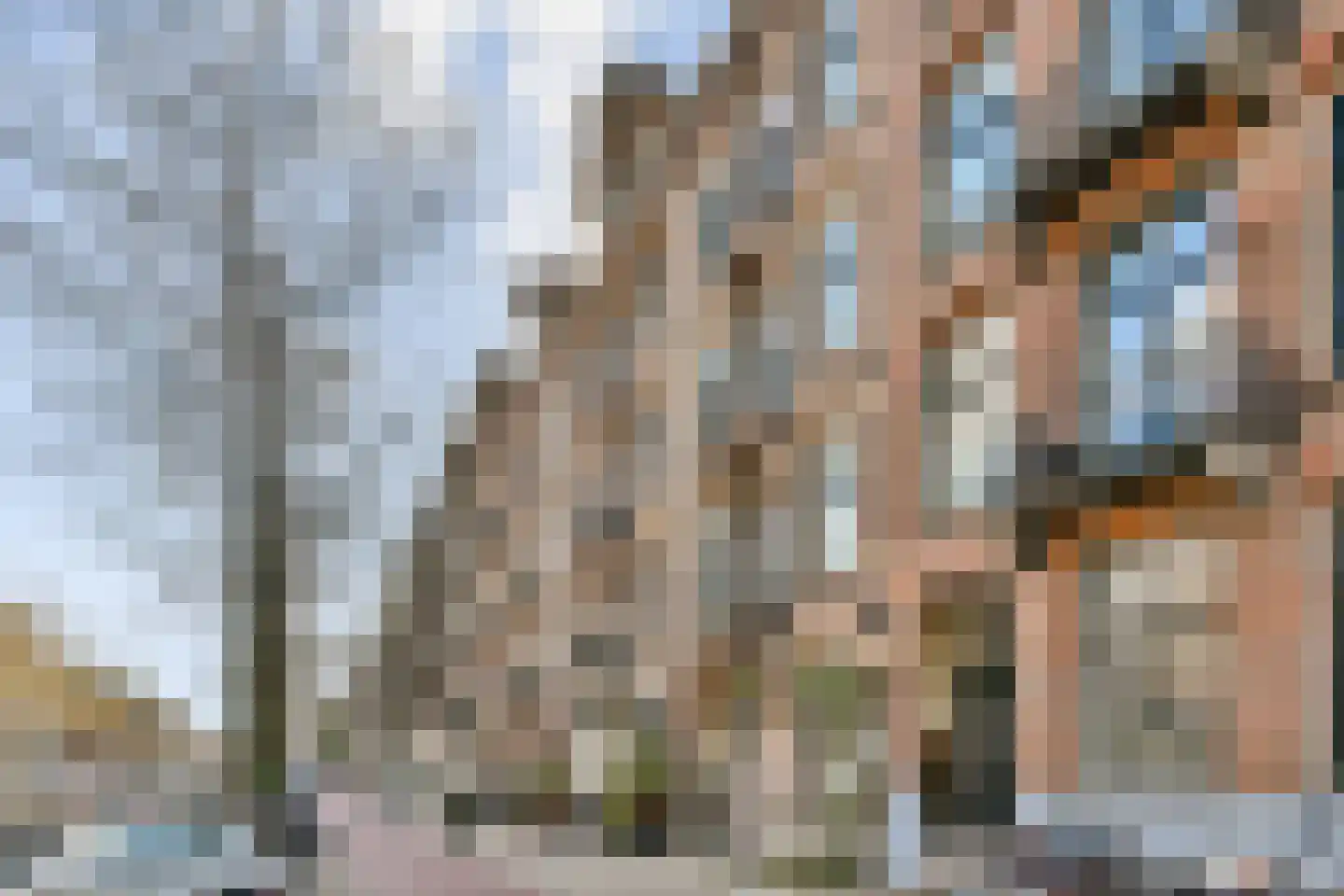 Ceintuurbaan 204 2 Amsterdam thumbnail 24