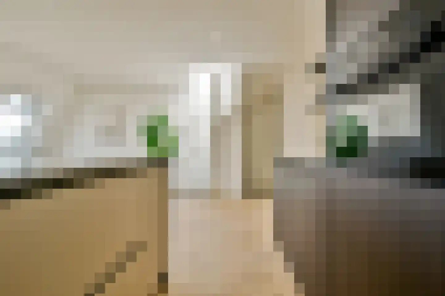 Ceintuurbaan 204 2 Amsterdam thumbnail 8