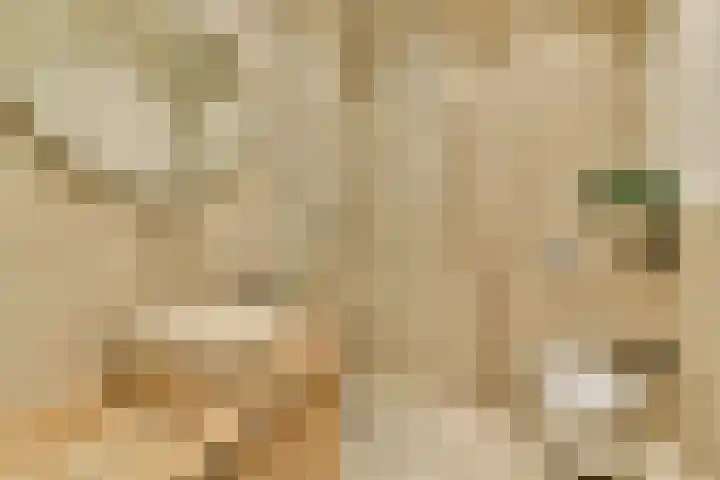 Ceintuurbaan 204 3A Amsterdam thumbnail 10