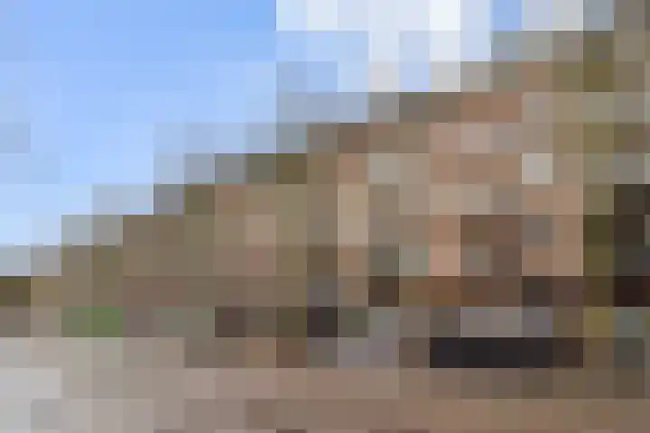 Ceintuurbaan 204 3A Amsterdam thumbnail 14