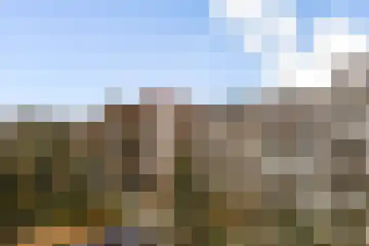 Ceintuurbaan 204 3A Amsterdam thumbnail 16
