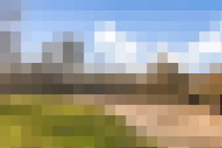 Ceintuurbaan 204 3A Amsterdam thumbnail 17