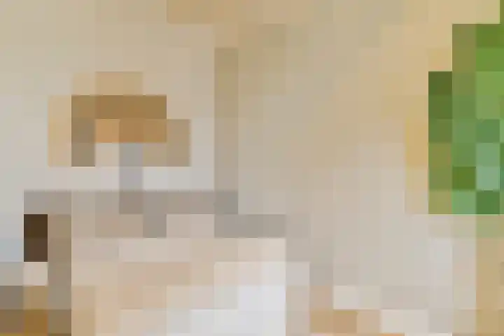 Ceintuurbaan 204 3A Amsterdam thumbnail 9