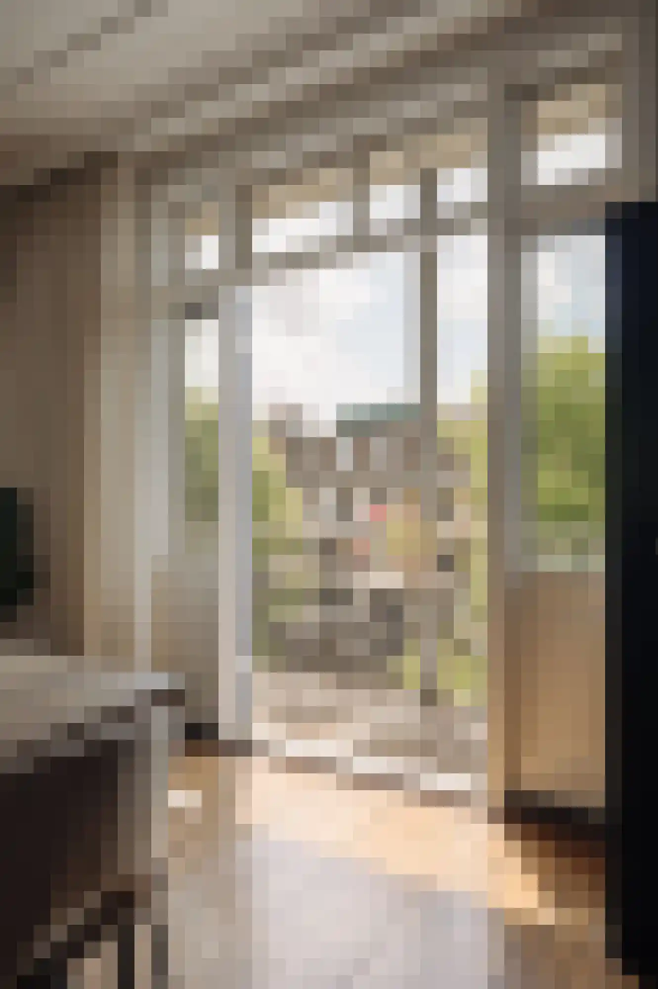 Ceintuurbaan 208 3 Amsterdam thumbnail 15