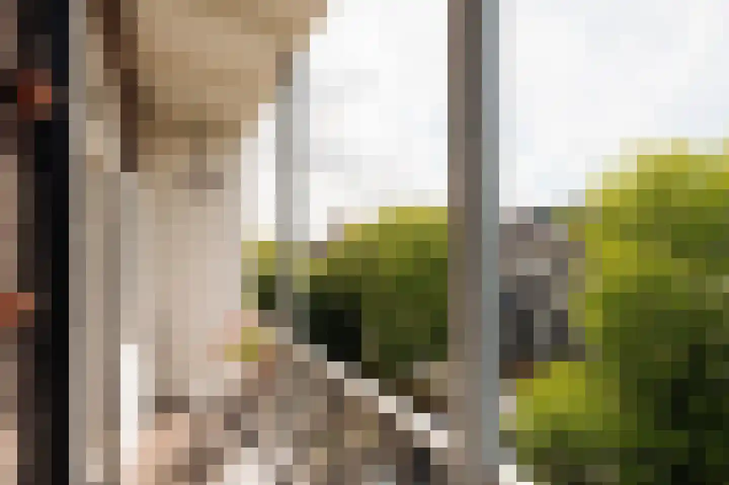 Ceintuurbaan 208 3 Amsterdam thumbnail 16