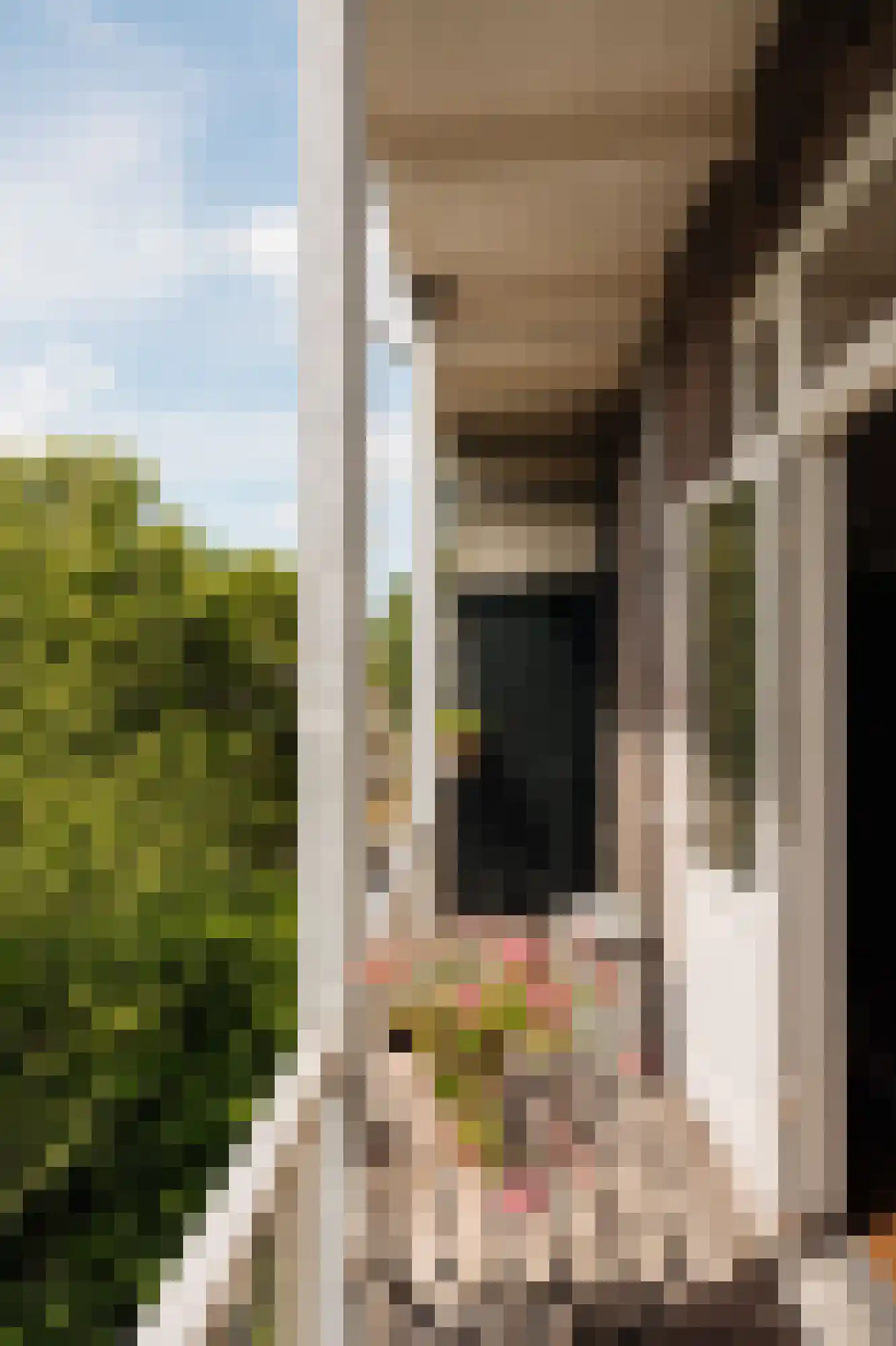 Ceintuurbaan 208 3 Amsterdam thumbnail 17