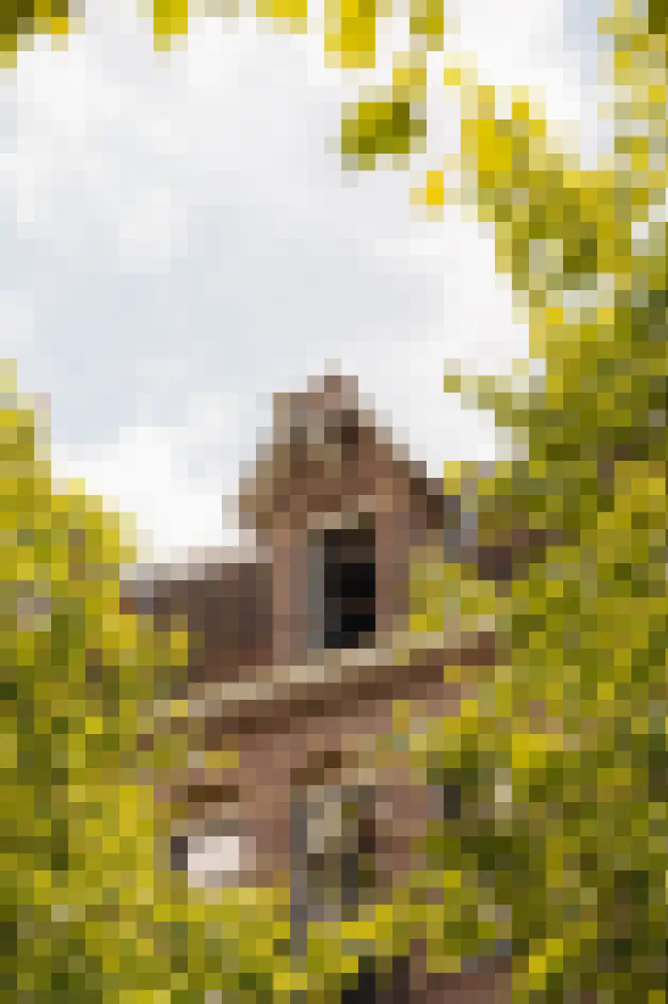 Ceintuurbaan 208 3 Amsterdam thumbnail 25