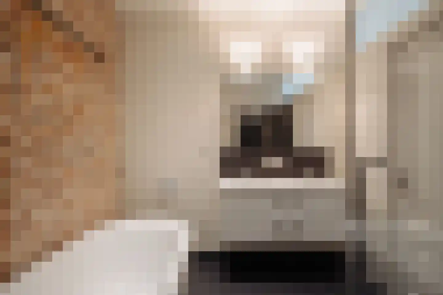 Ceintuurbaan 208 3 Amsterdam thumbnail 28