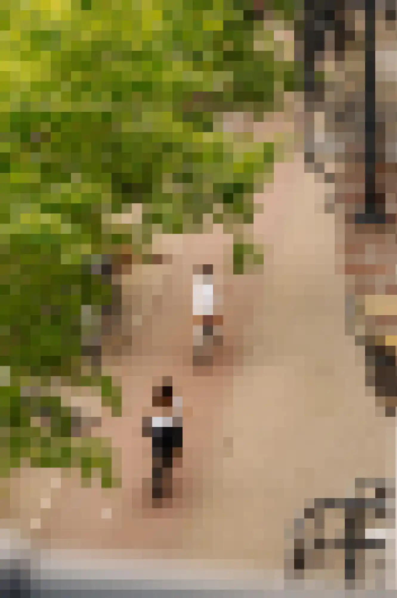 Ceintuurbaan 208 3 Amsterdam thumbnail 38