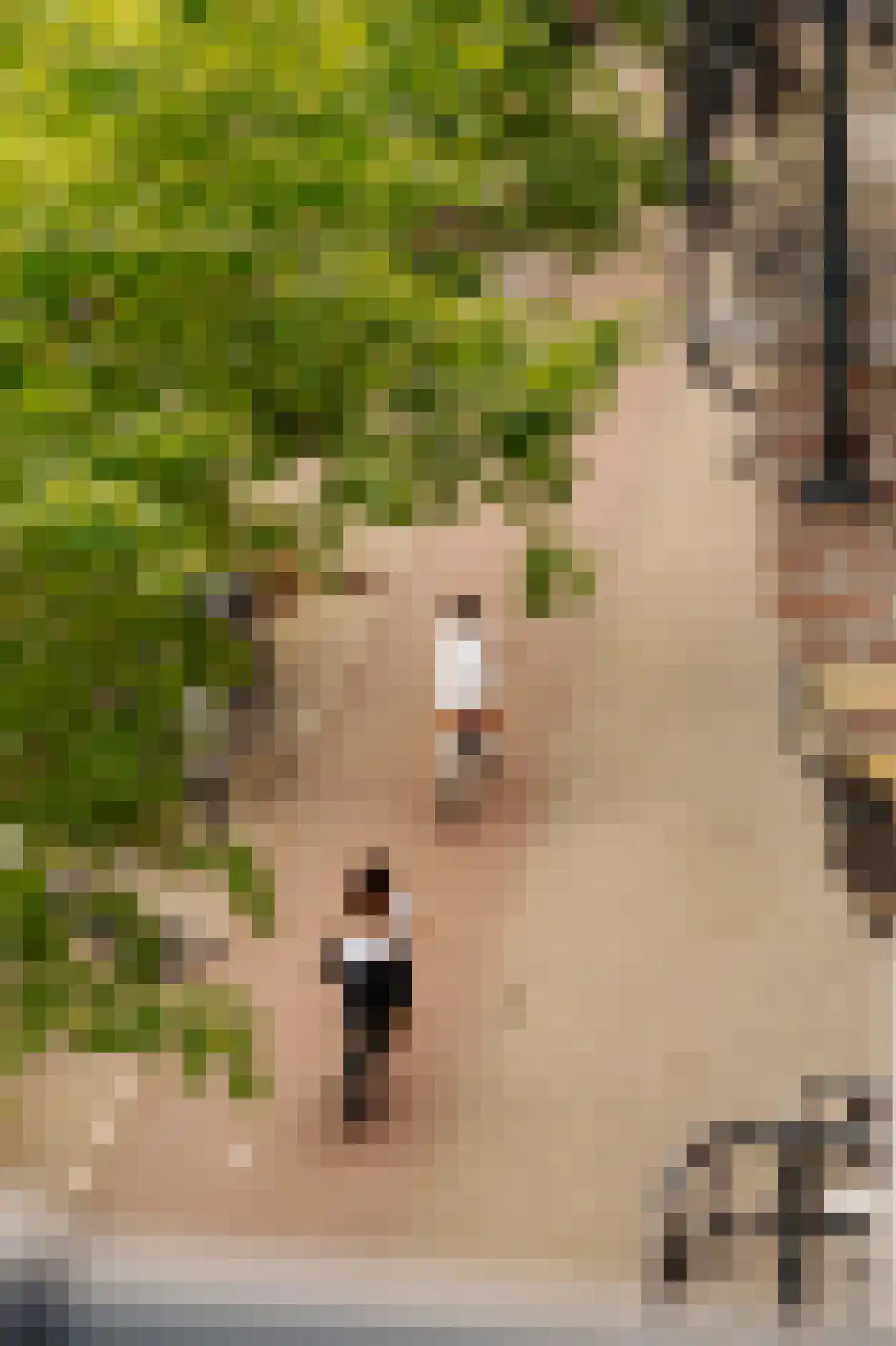 Ceintuurbaan 208 3 Amsterdam thumbnail 38
