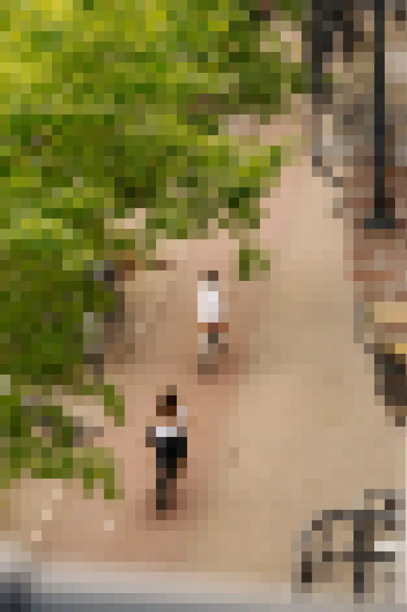 Ceintuurbaan 208 3 Amsterdam thumbnail 39