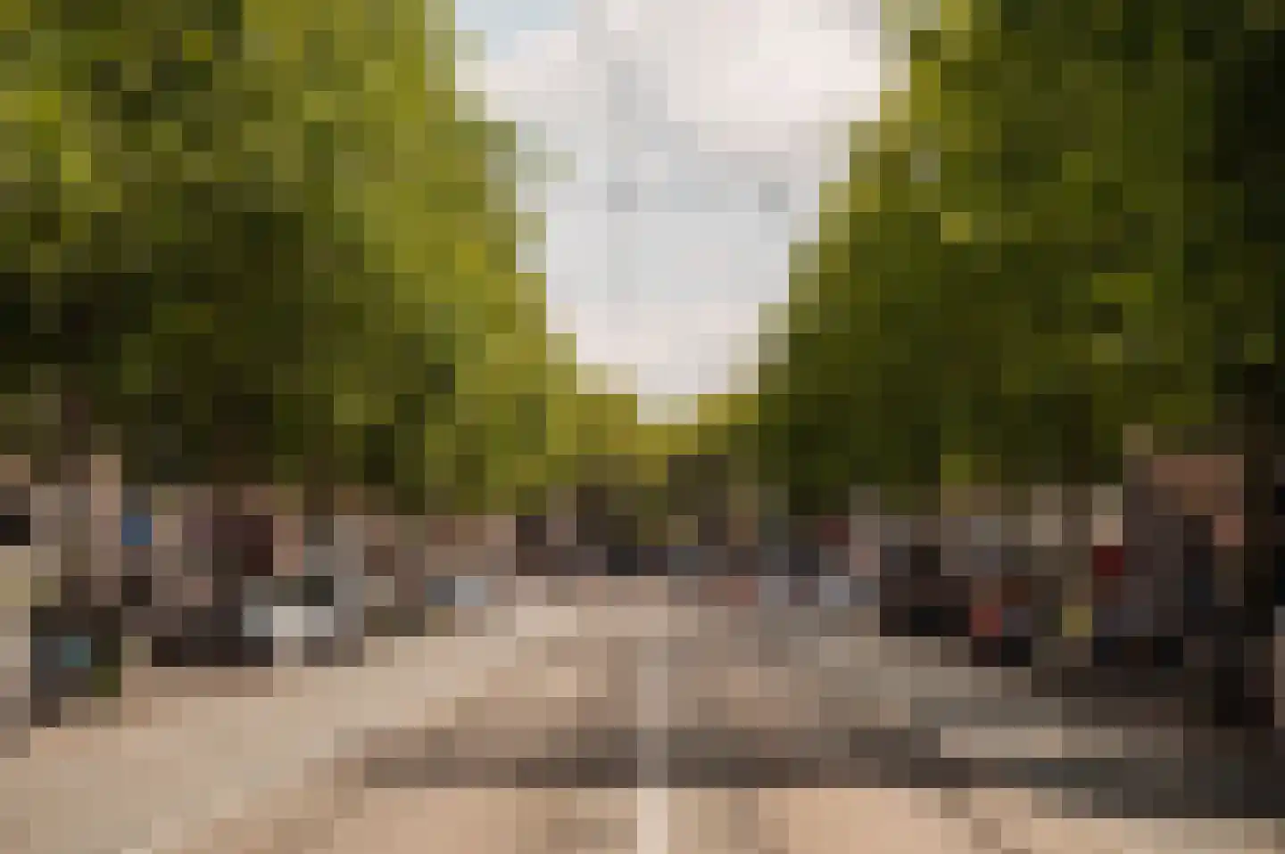 Ceintuurbaan 208 3 Amsterdam thumbnail 39