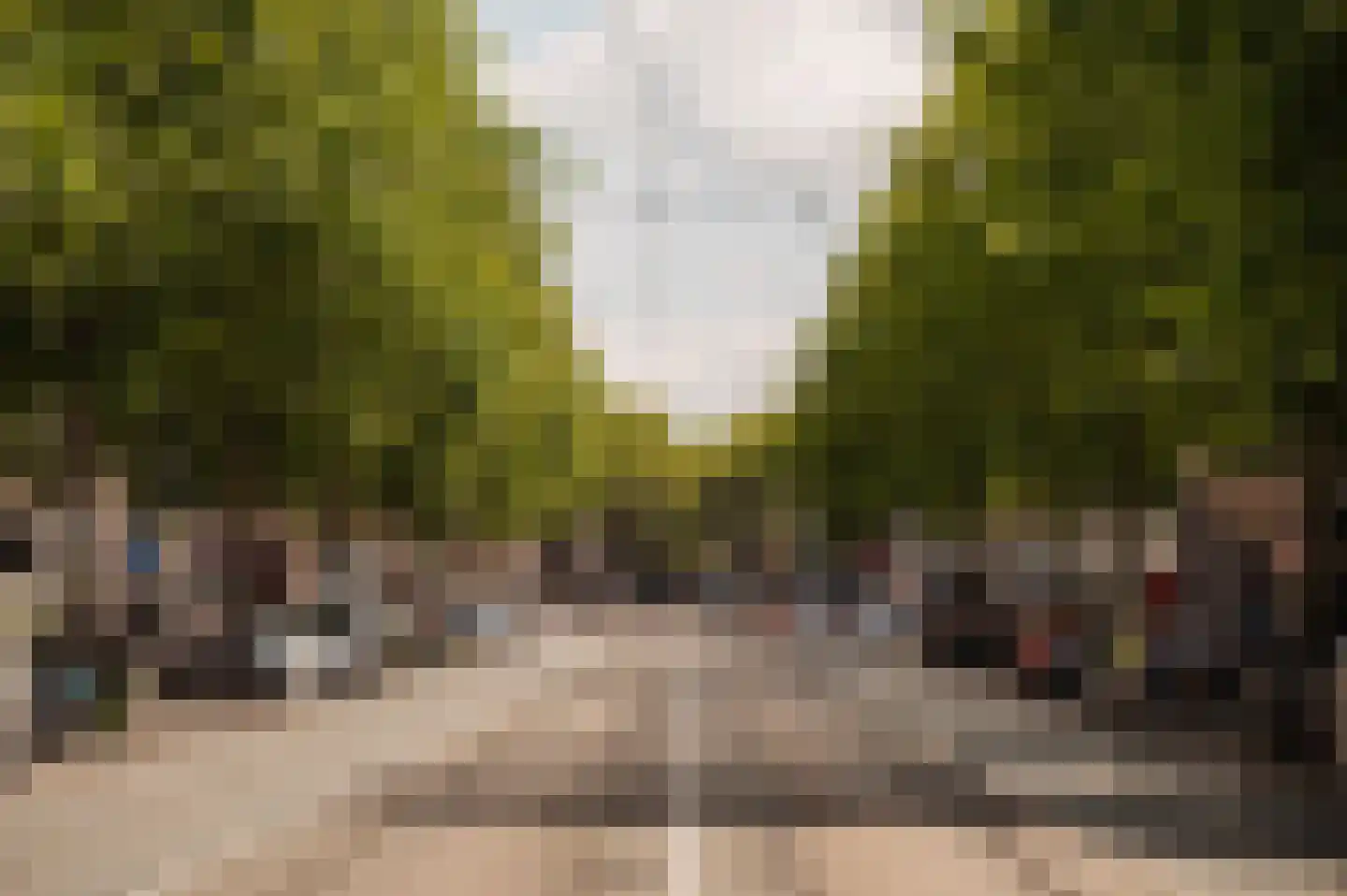 Ceintuurbaan 208 3 Amsterdam thumbnail 40