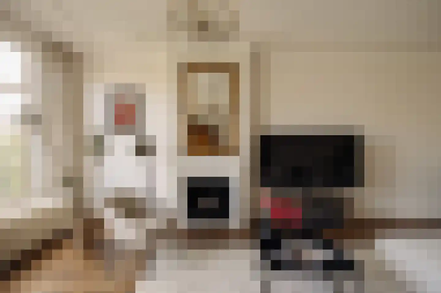 Ceintuurbaan 208 3 Amsterdam thumbnail 6