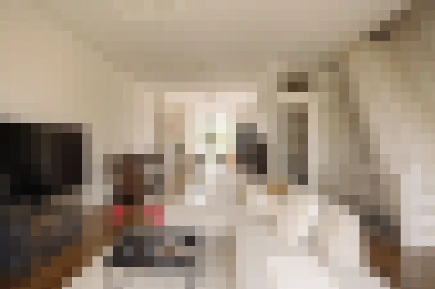 Ceintuurbaan 208 3 Amsterdam thumbnail 7