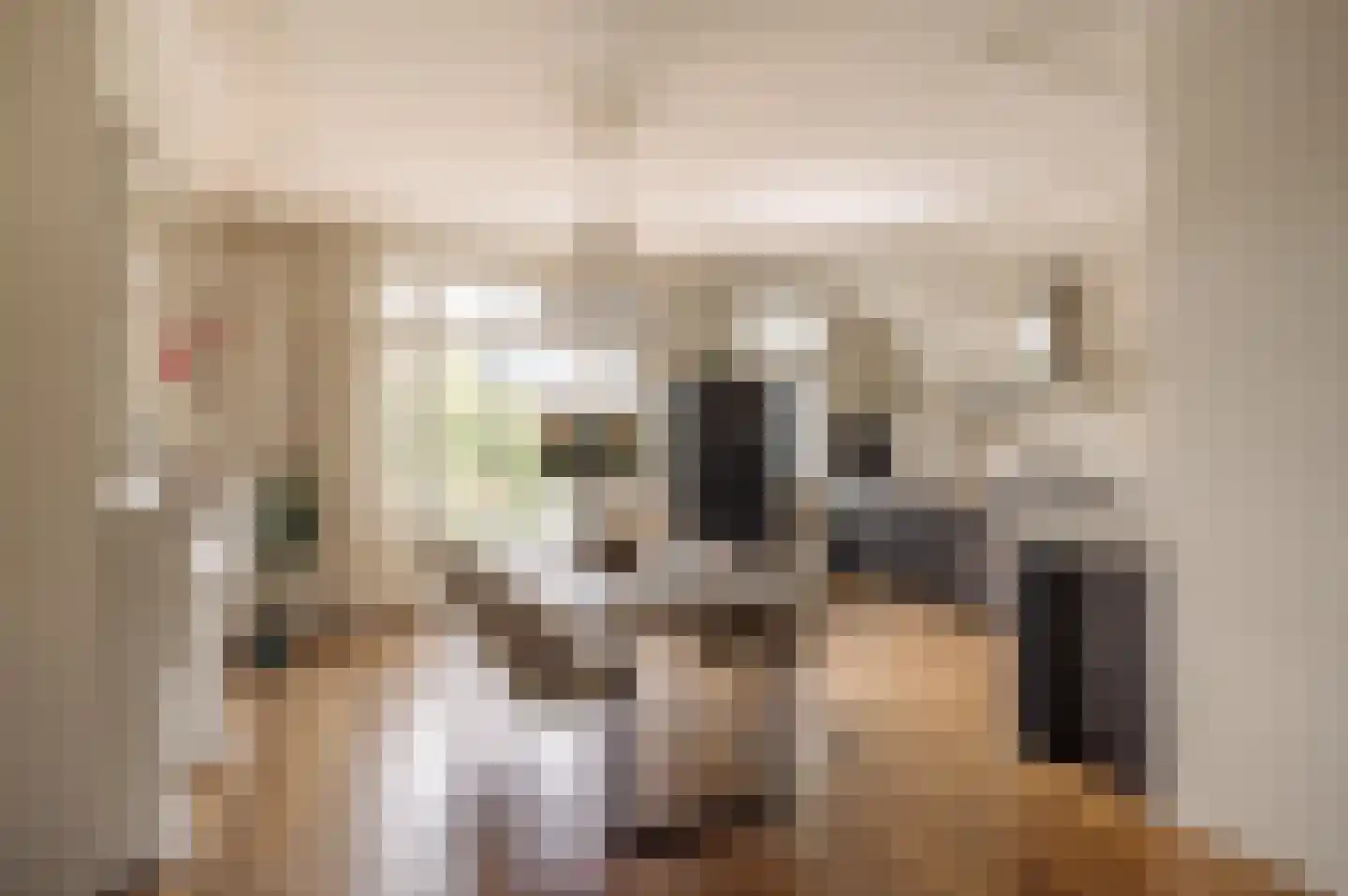 Ceintuurbaan 208 3 Amsterdam thumbnail 9