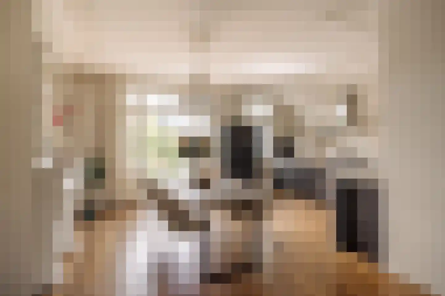 Ceintuurbaan 208 3 Amsterdam thumbnail 9