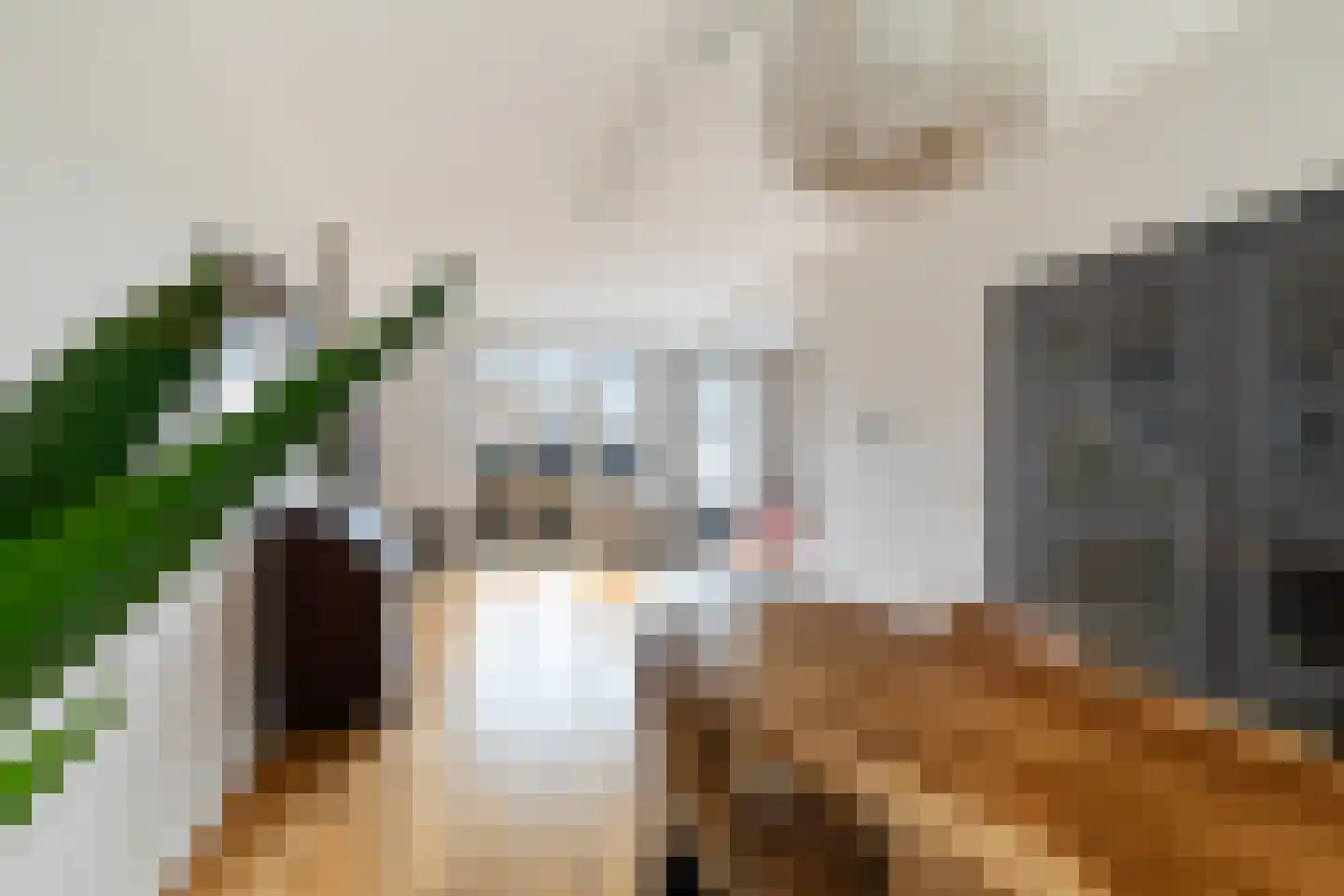 Ceintuurbaan 21 A Rotterdam thumbnail 14