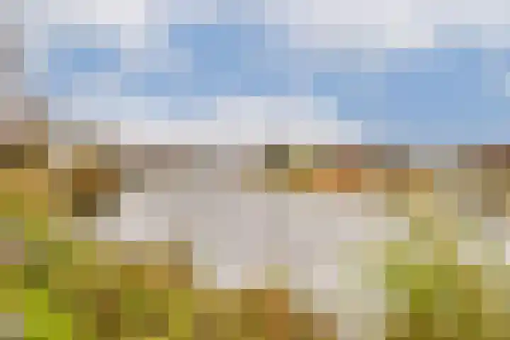Ceintuurbaan 21 A Rotterdam thumbnail 19