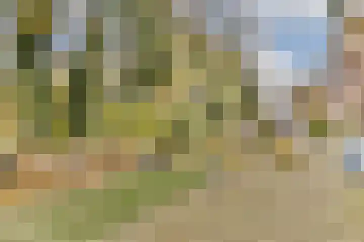 Ceintuurbaan 21 A Rotterdam thumbnail 21