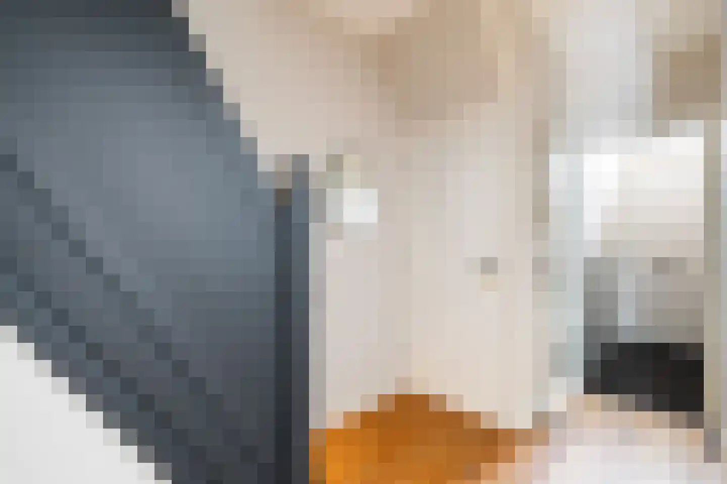 Ceintuurbaan 21 A Rotterdam thumbnail 42