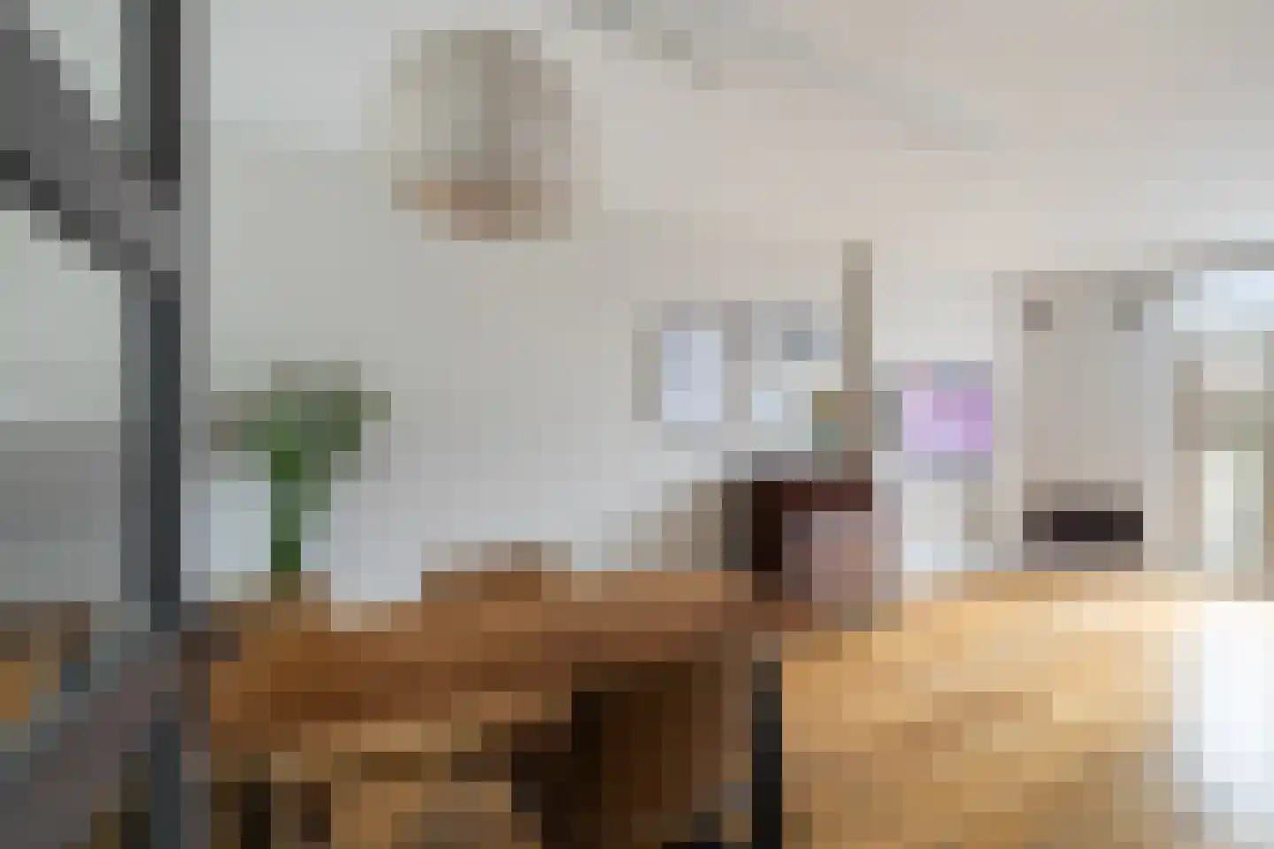 Ceintuurbaan 21 A Rotterdam thumbnail 7