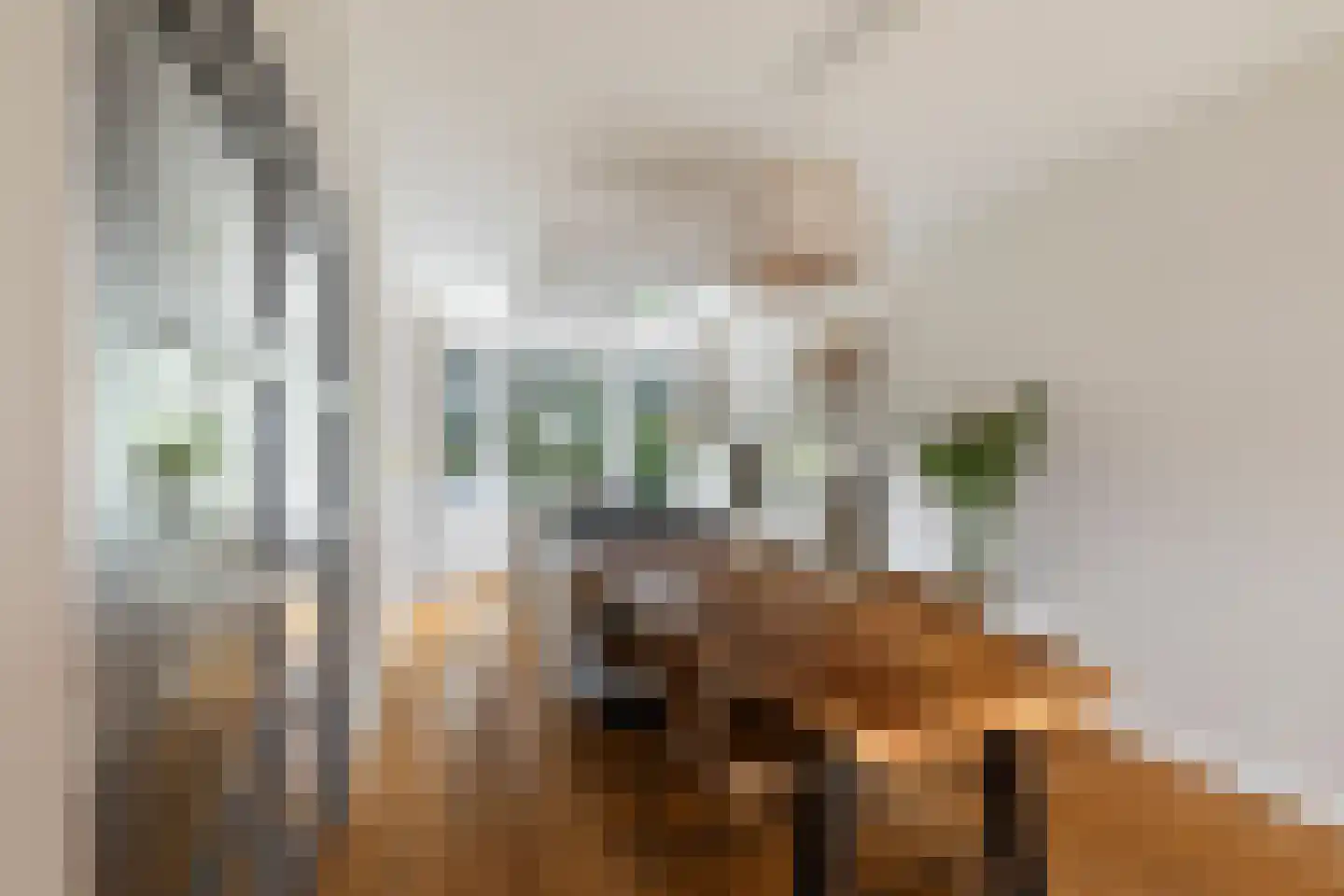 Ceintuurbaan 21 A Rotterdam thumbnail 9