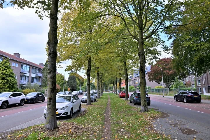 Ceintuurbaan 21 Deventer thumbnail 18
