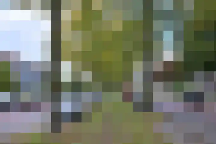 Ceintuurbaan 21 Deventer thumbnail 18