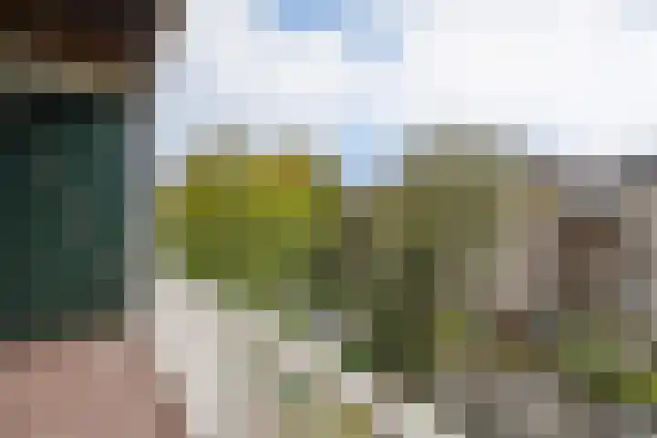 Ceintuurbaan 211 3 Amsterdam thumbnail 10