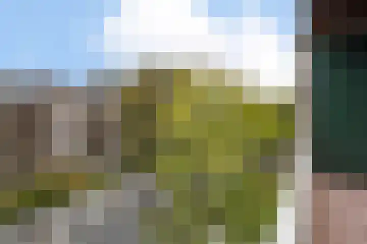 Ceintuurbaan 211 3 Amsterdam thumbnail 30