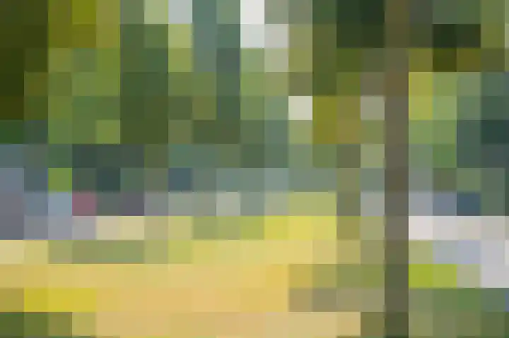 Ceintuurbaan 211 Deventer thumbnail 18